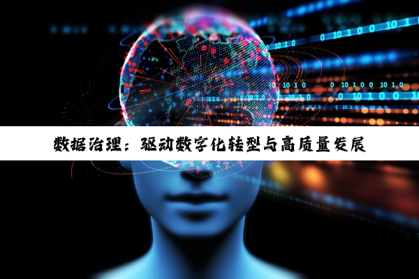 数据治理：驱动数字化转型与高质量发展的最新实践与趋势