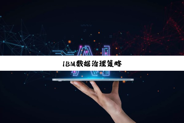 IBM数据治理策略