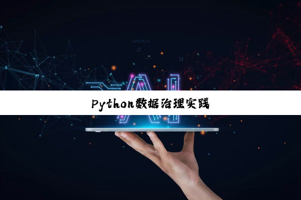 Python数据治理实践