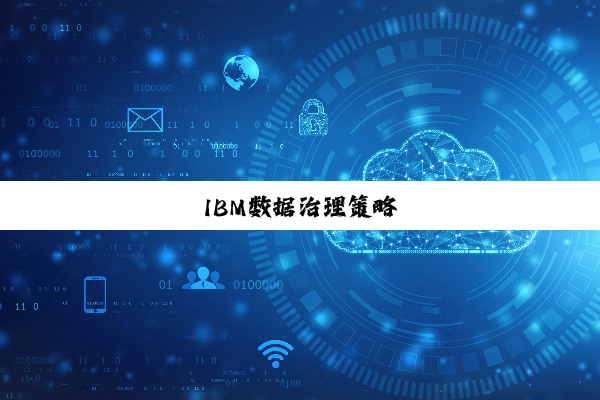 IBM数据治理策略