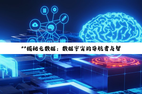 **揭秘元数据：数据宇宙的导航者与智慧之源**